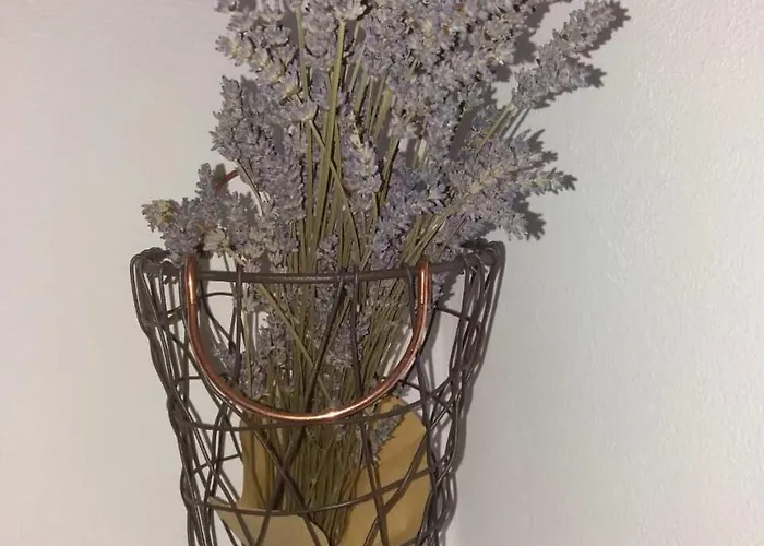 Boko Gasthof Pinezići