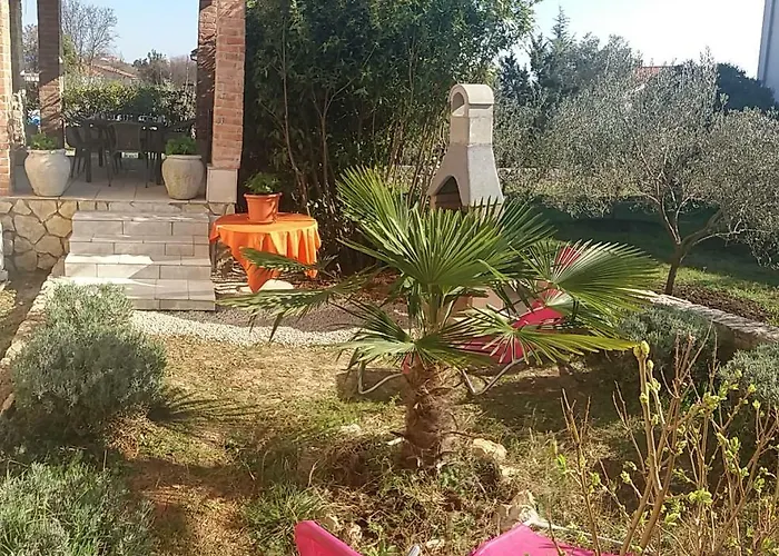 Boko 3*